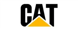 a096f139c_cat