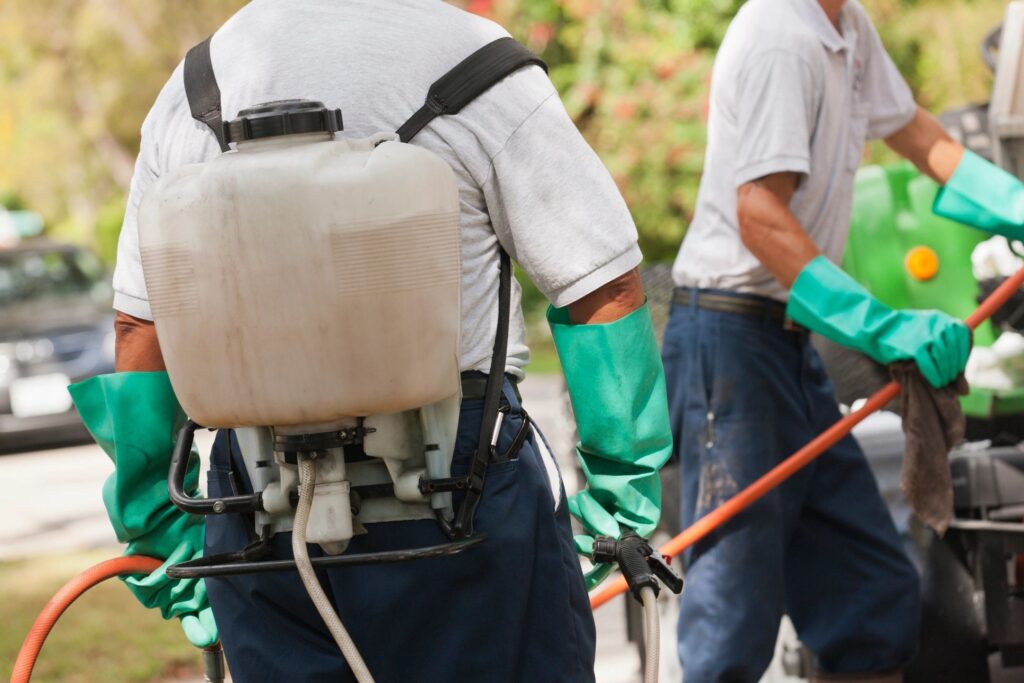 Pest control workers