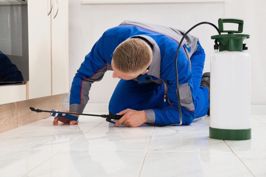 Worker spraying pesticide under kitchen cabinet