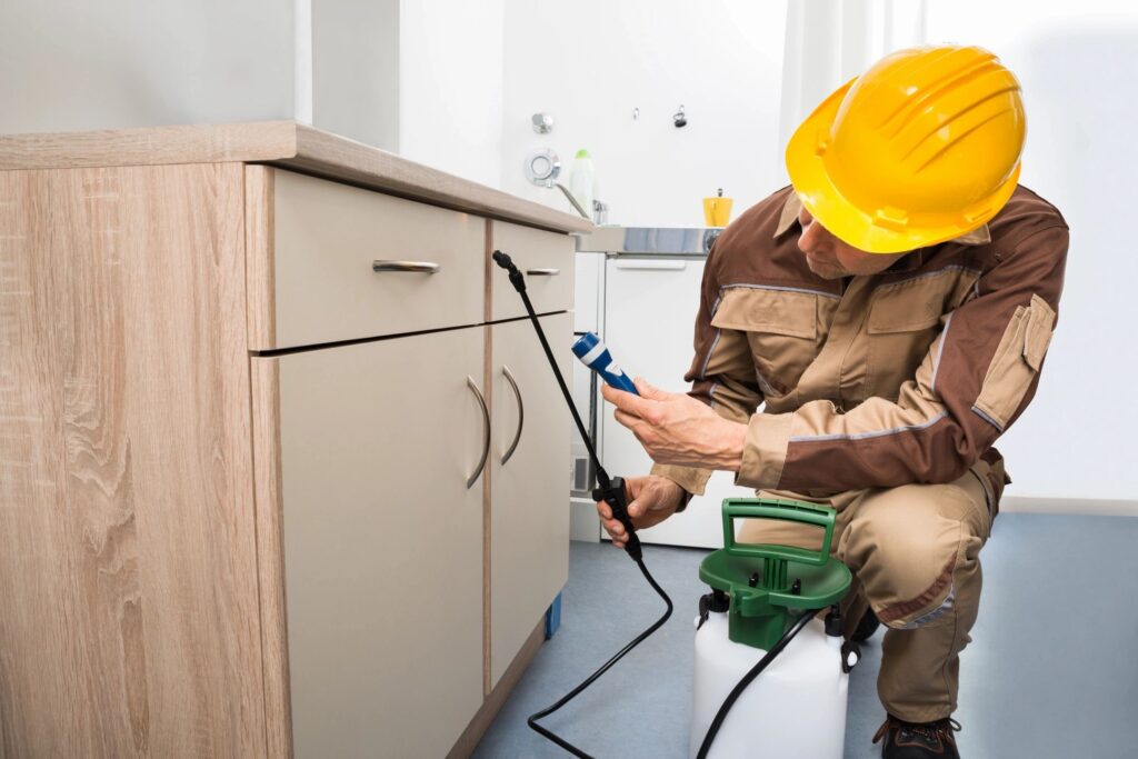 Worker using pesticides on kitchen cabinet