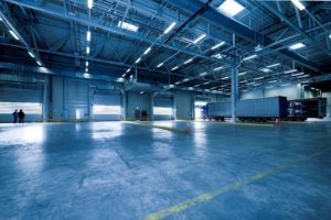 Eco-Friendly Mouse Removal for Businesses That Works