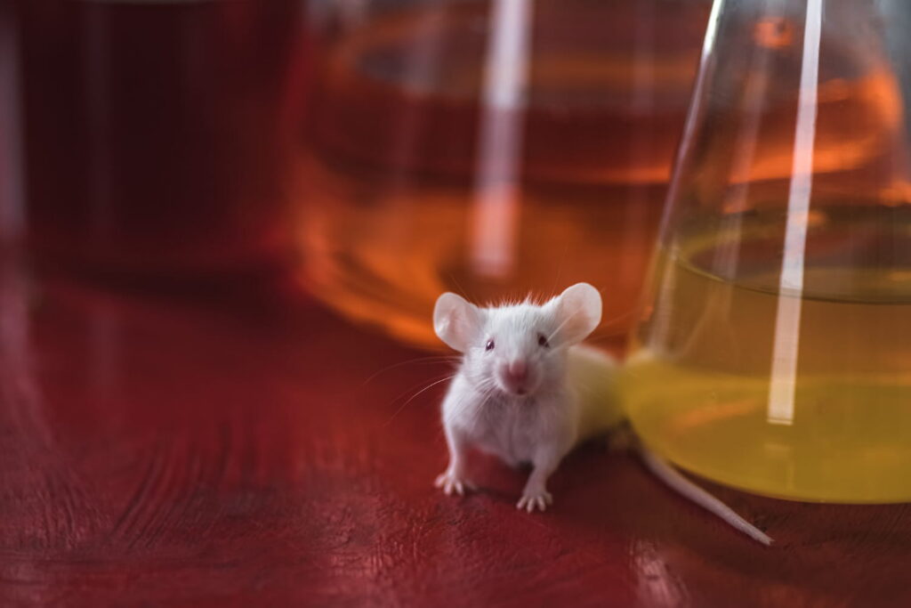 Types of Mice Found in Commercial & Industrial Buildings