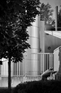 Factory Rat Control Systems: What Works Best Now?